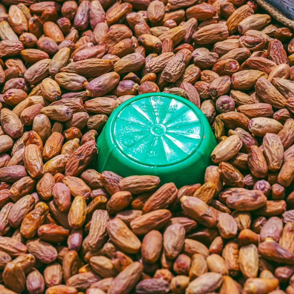 Karışık Hurma